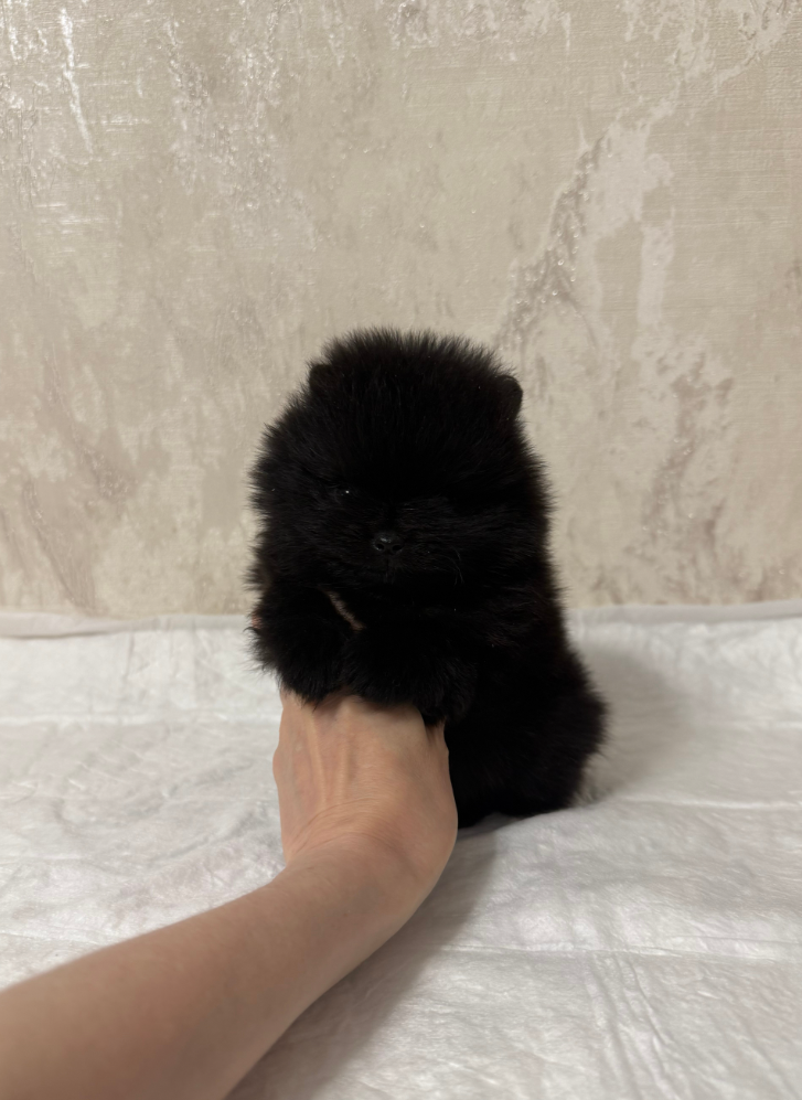 Мальчик Мальчик