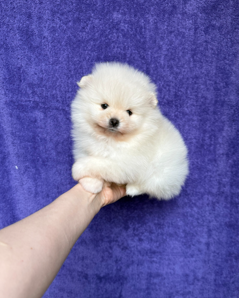 Мальчик Мальчик