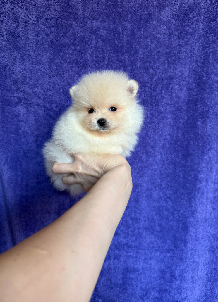 Мальчик Мальчик