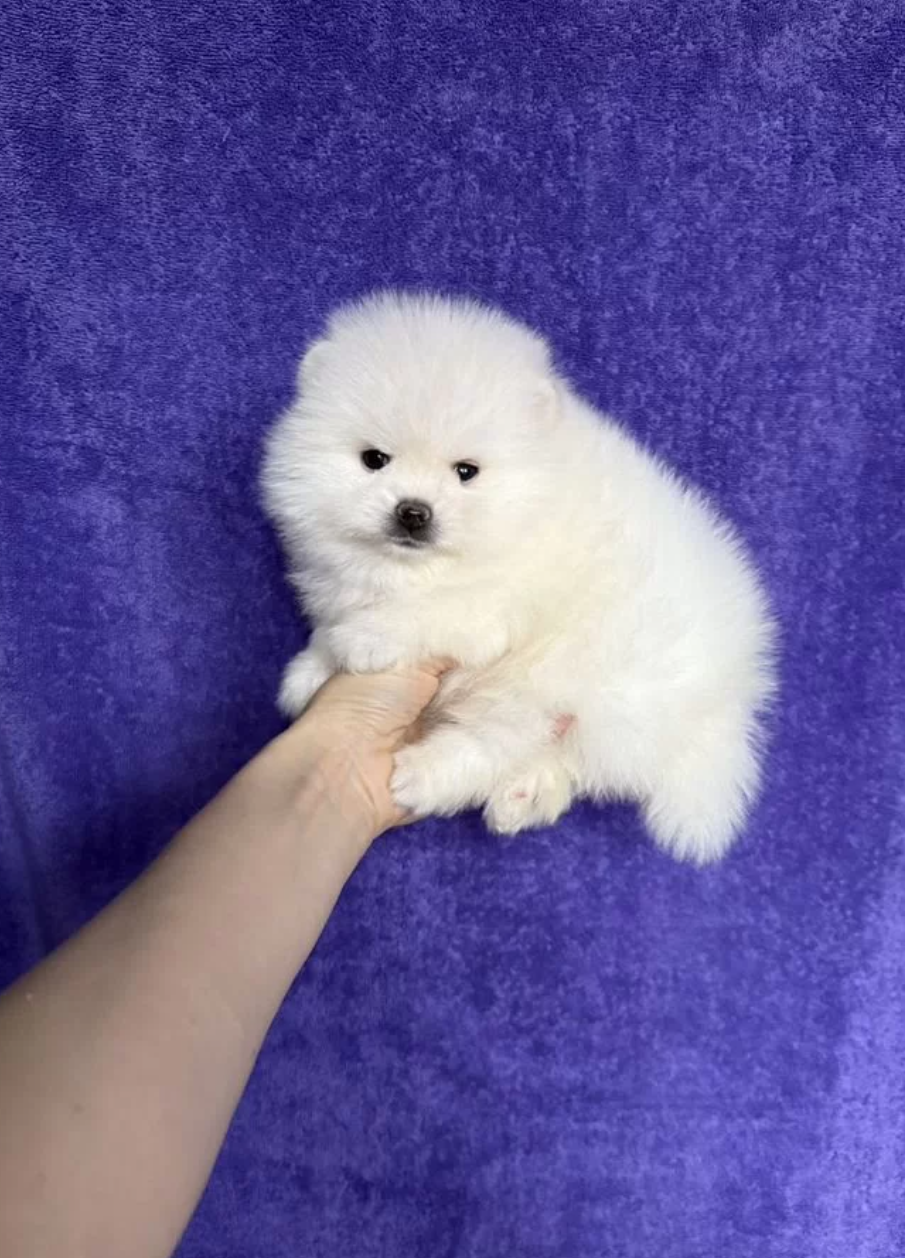 Мальчик Мальчик