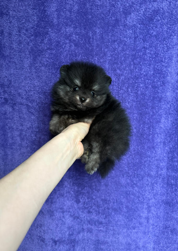 Малышка Малышка