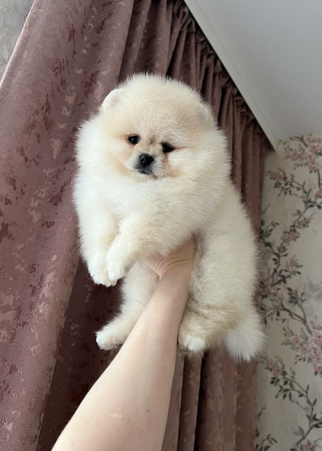 № 4 Мальчик № 4 Мальчик