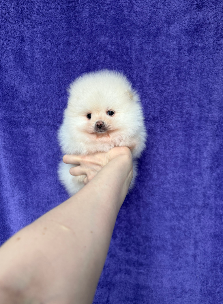 № 3 Мальчик