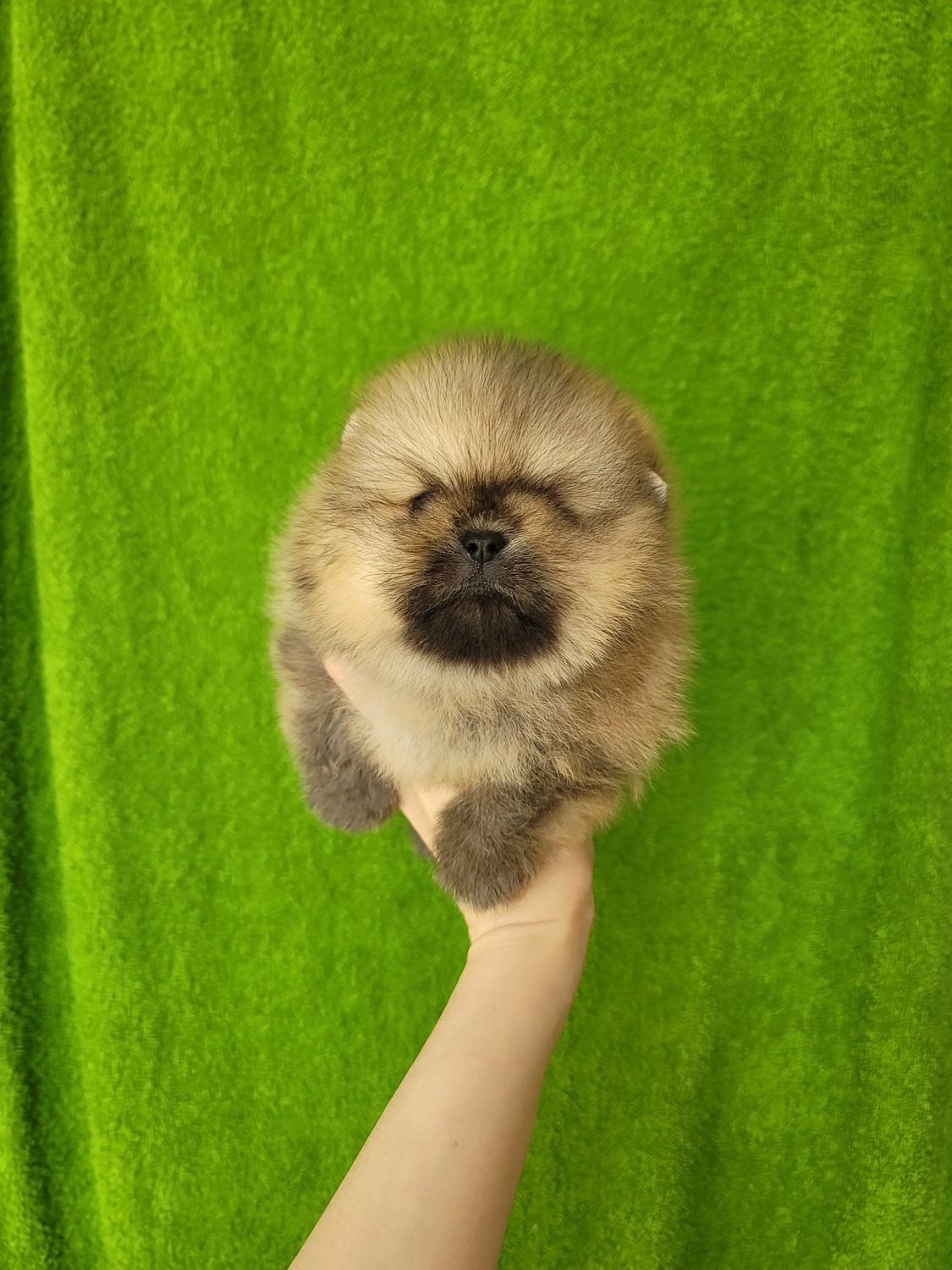 Мальчик оранж Мальчик оранж