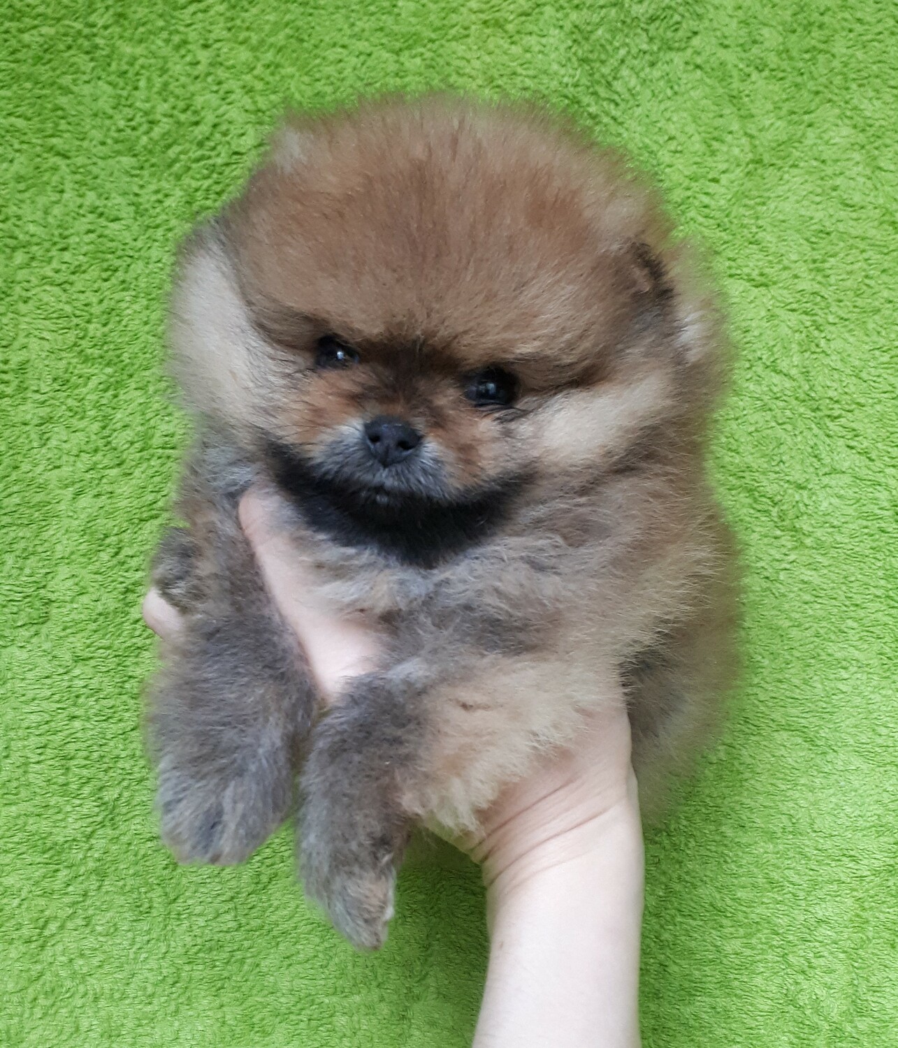 Мальчик Мальчик