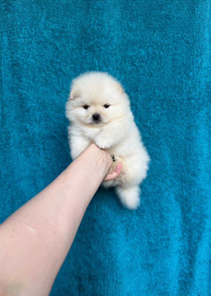 Мальчик Мальчик