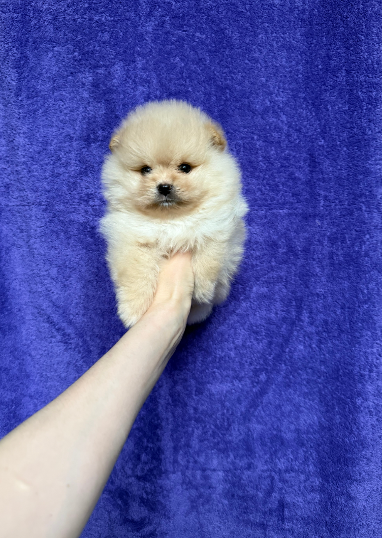 Мальчик Мальчик