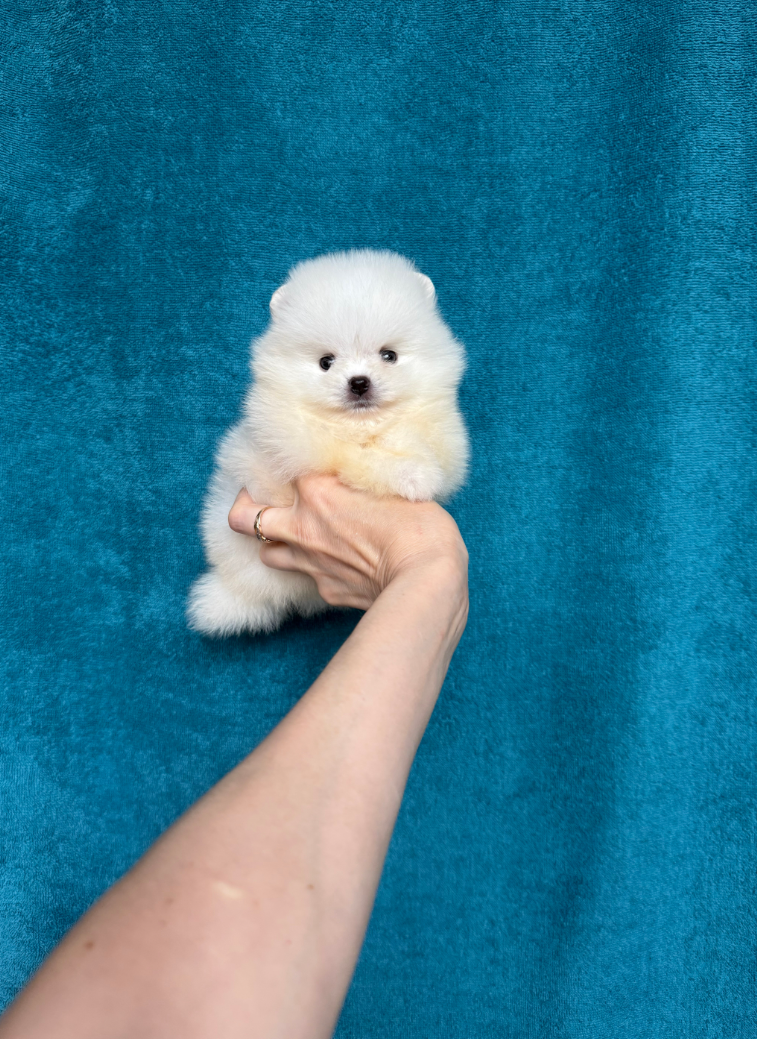 Мальчик Мальчик