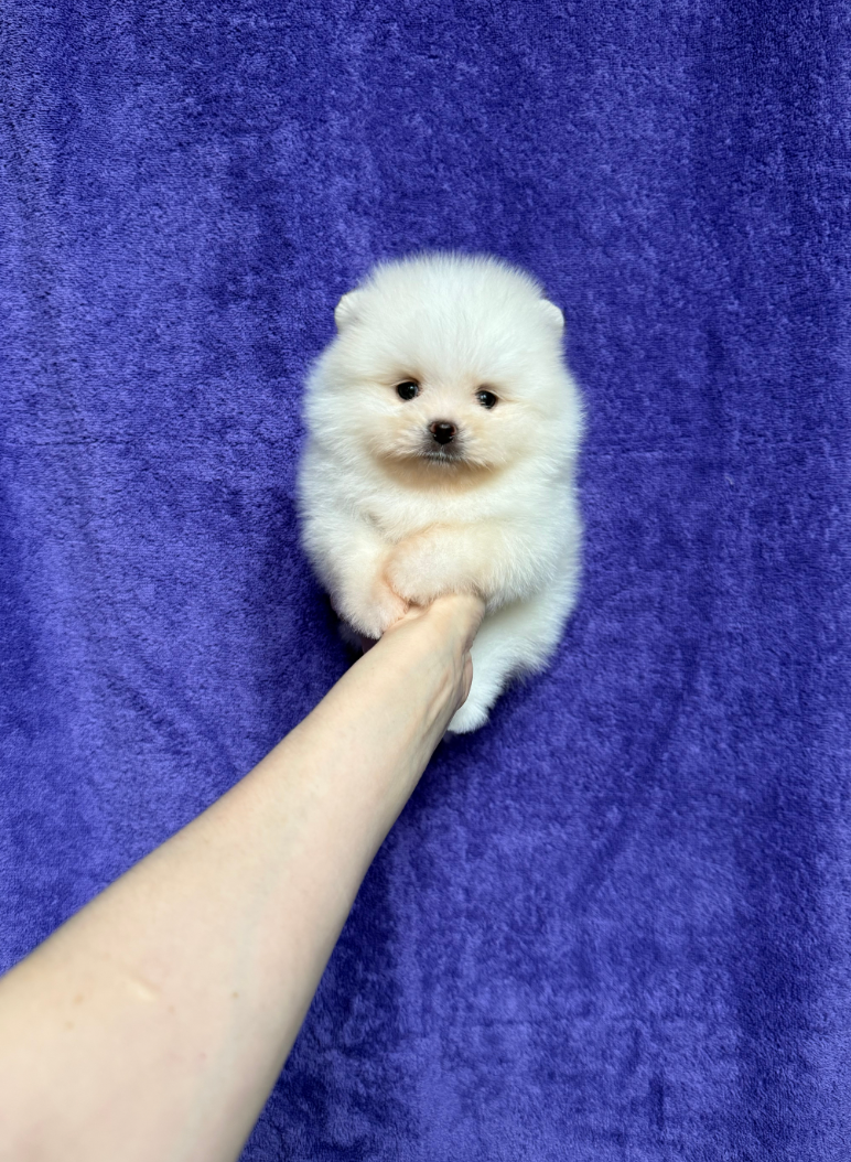 Мальчик Мальчик