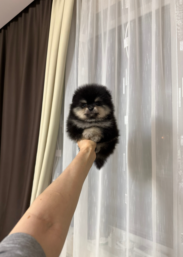 Девочка Девочка