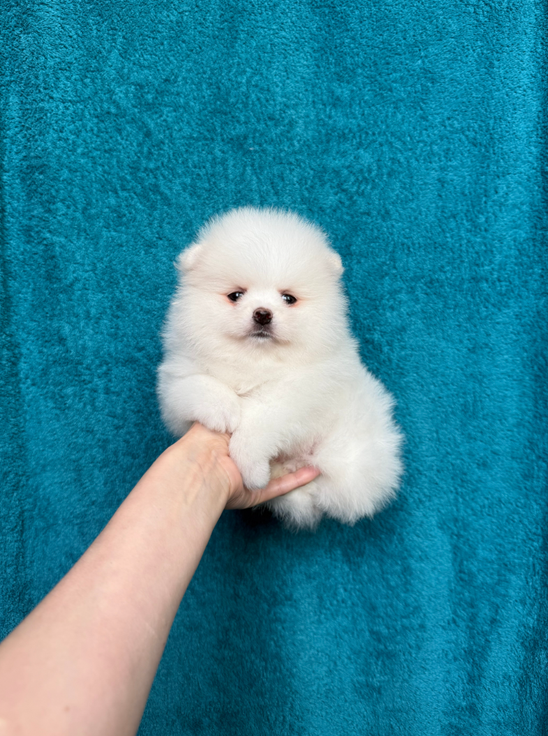 № 3 Мальчик № 3 Мальчик