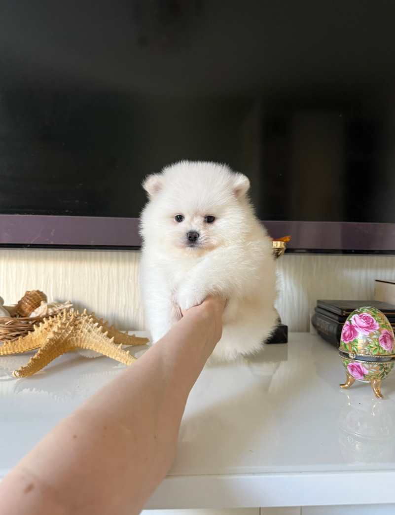 № 3 Мальчик № 3 Мальчик