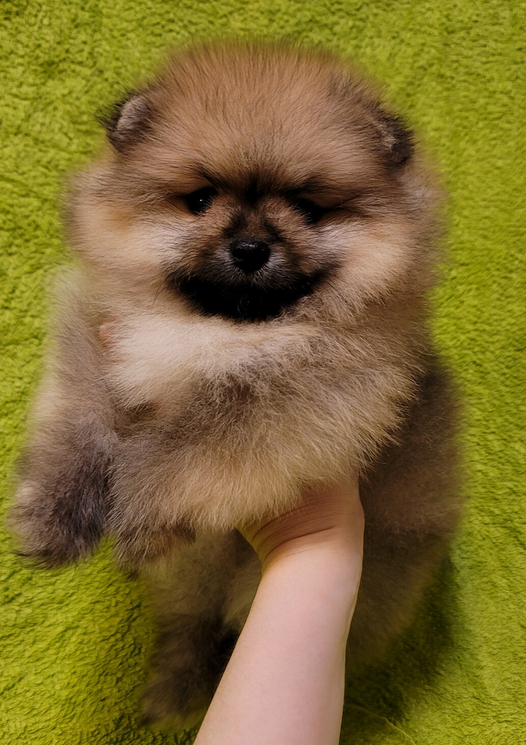 Мальчик Мальчик