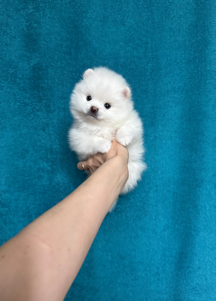 Мальчик