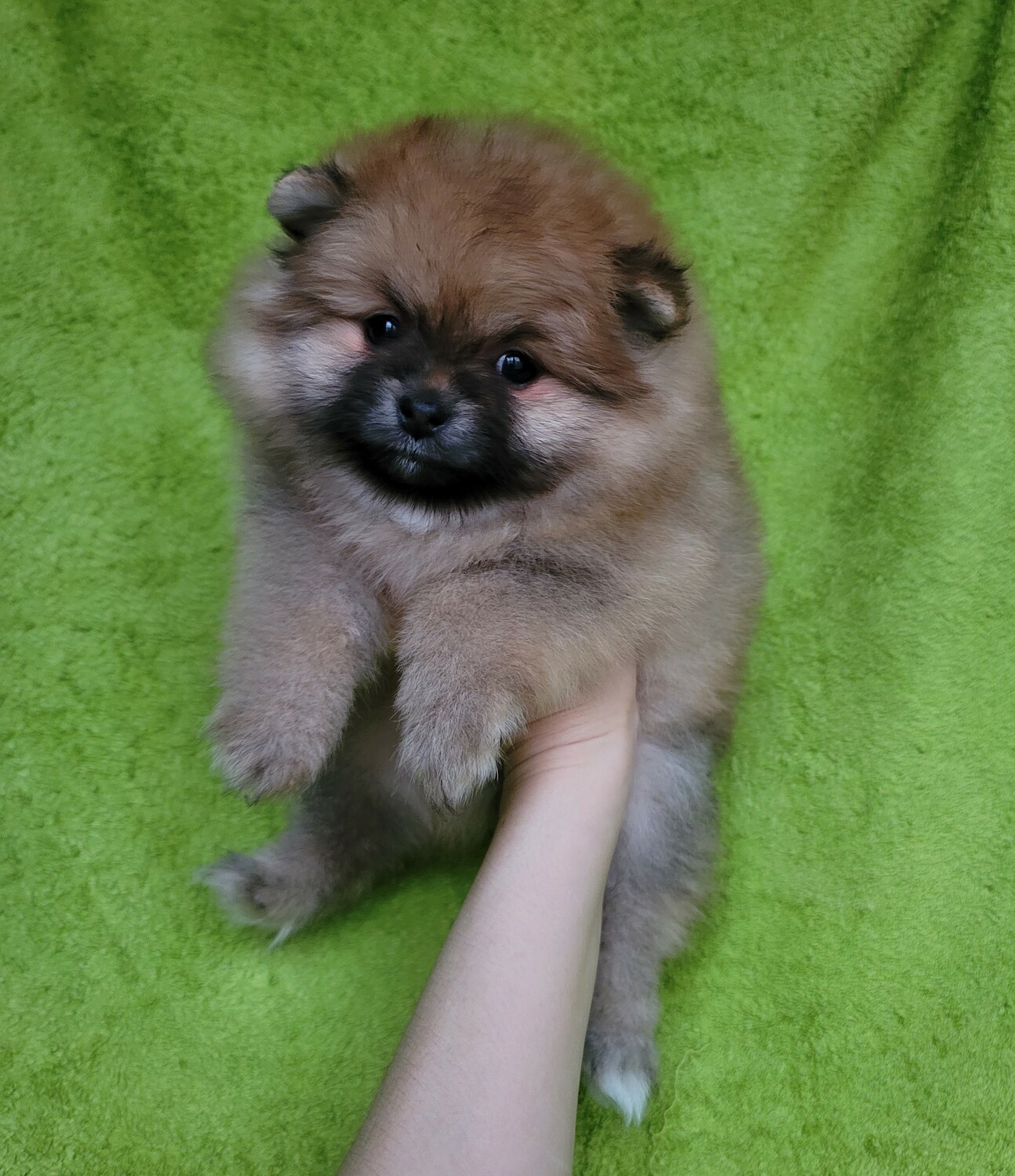 мальчик мальчик