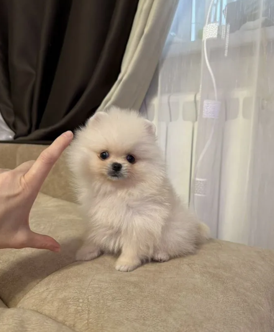 Мини малышка Мини малышка