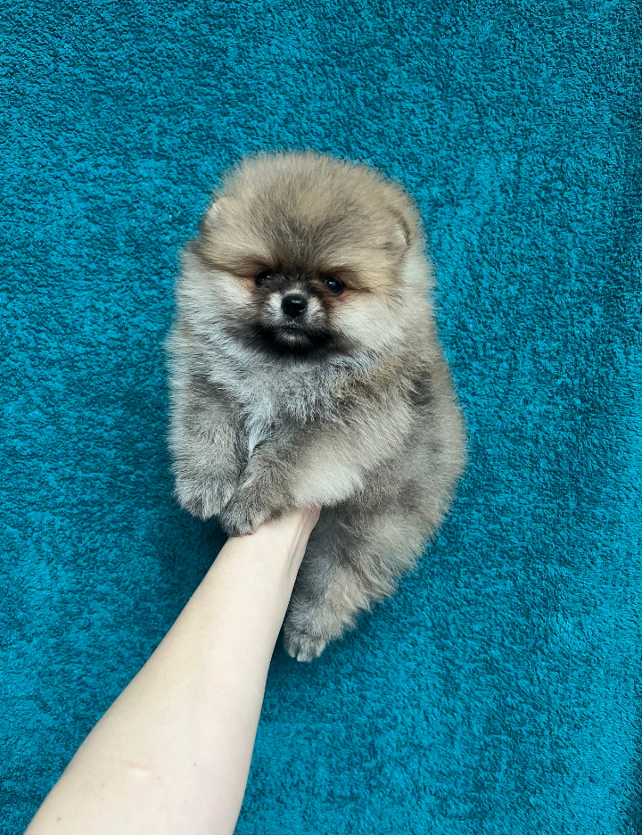 Мальчик Мальчик