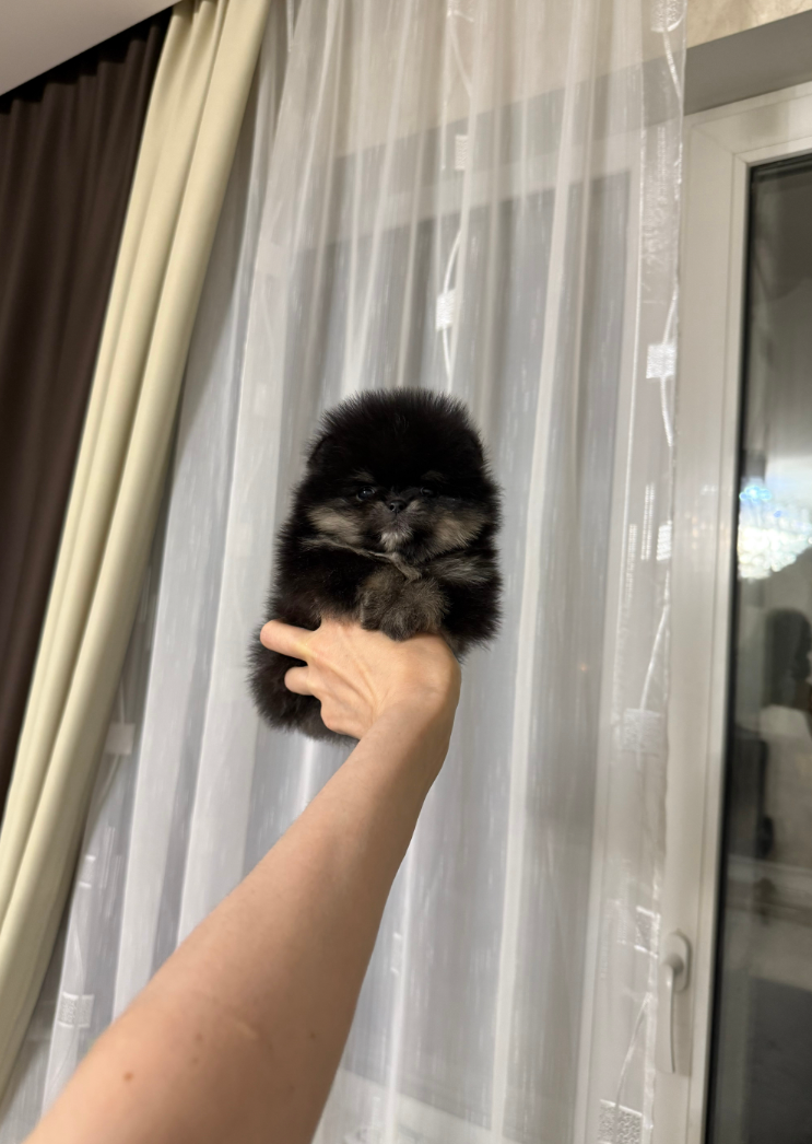 № 3 Мальчик