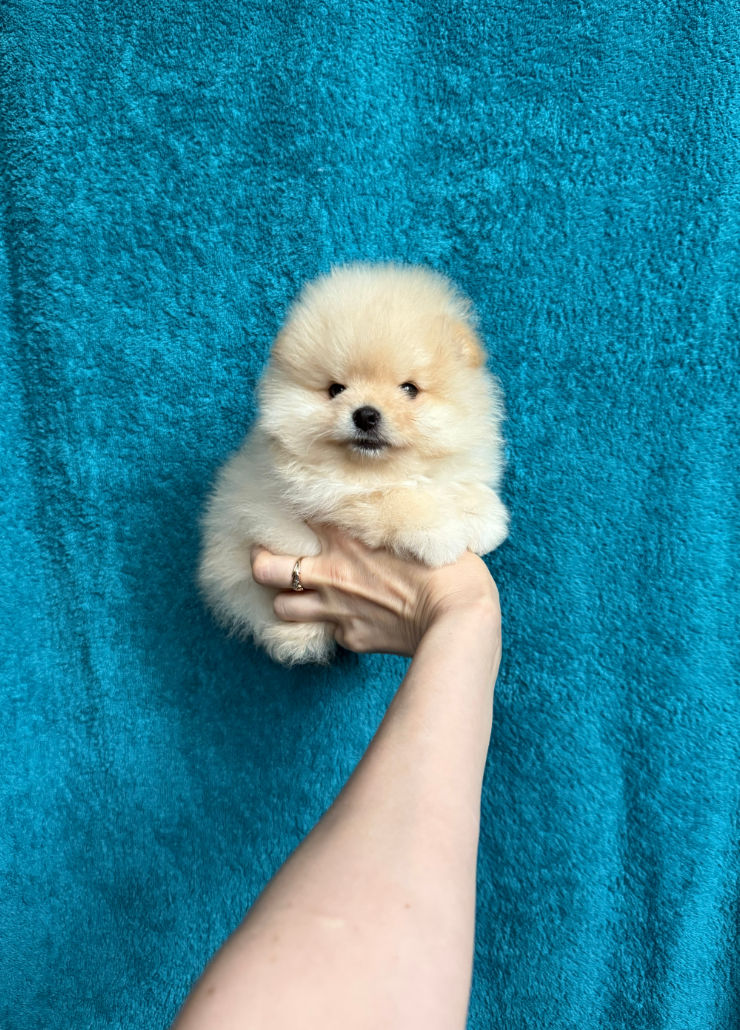 № 3 Мальчик № 3 Мальчик