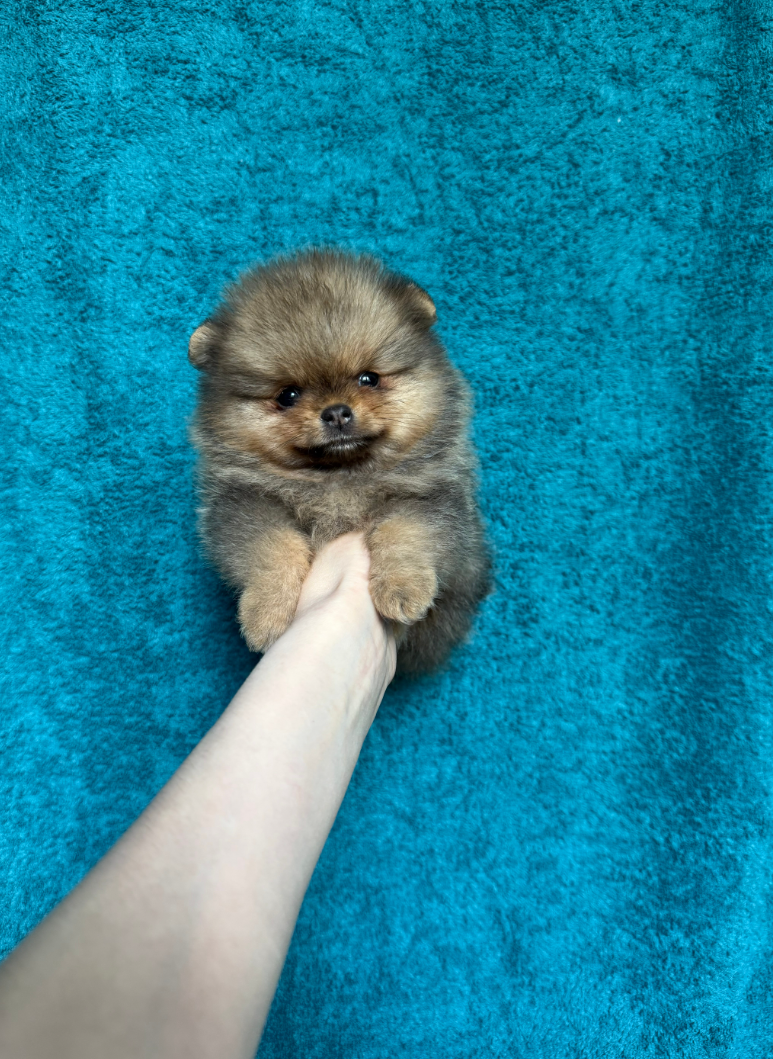 № 3 Мальчик № 3 Мальчик