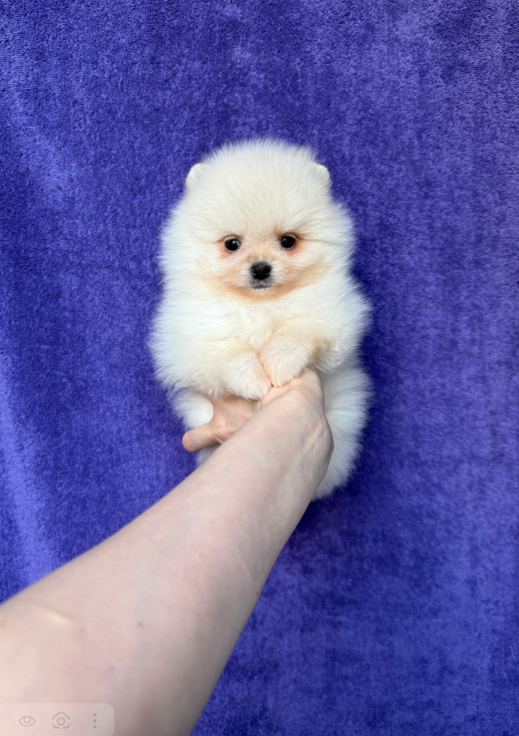 Малыш Малыш