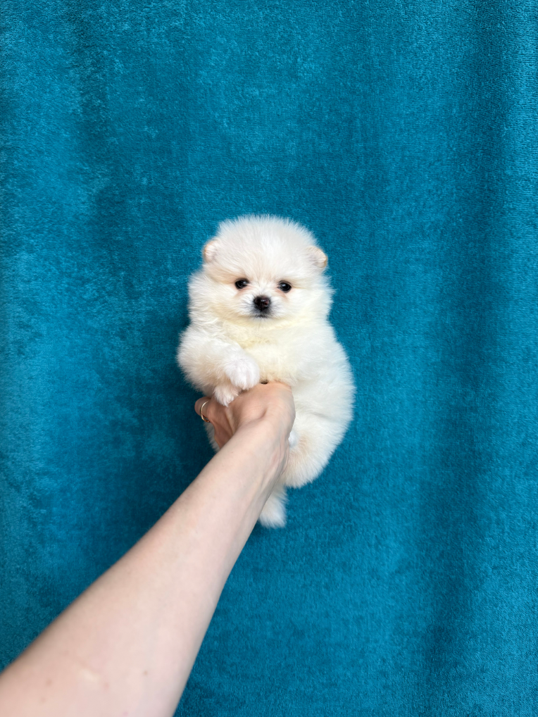 Мальчик