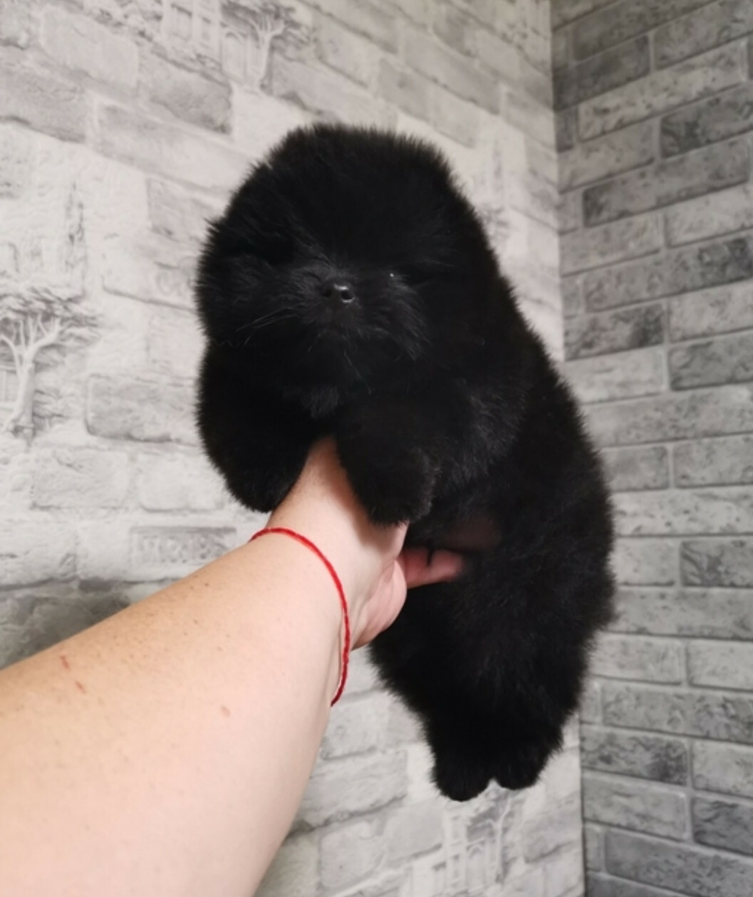 Мальчик Мальчик