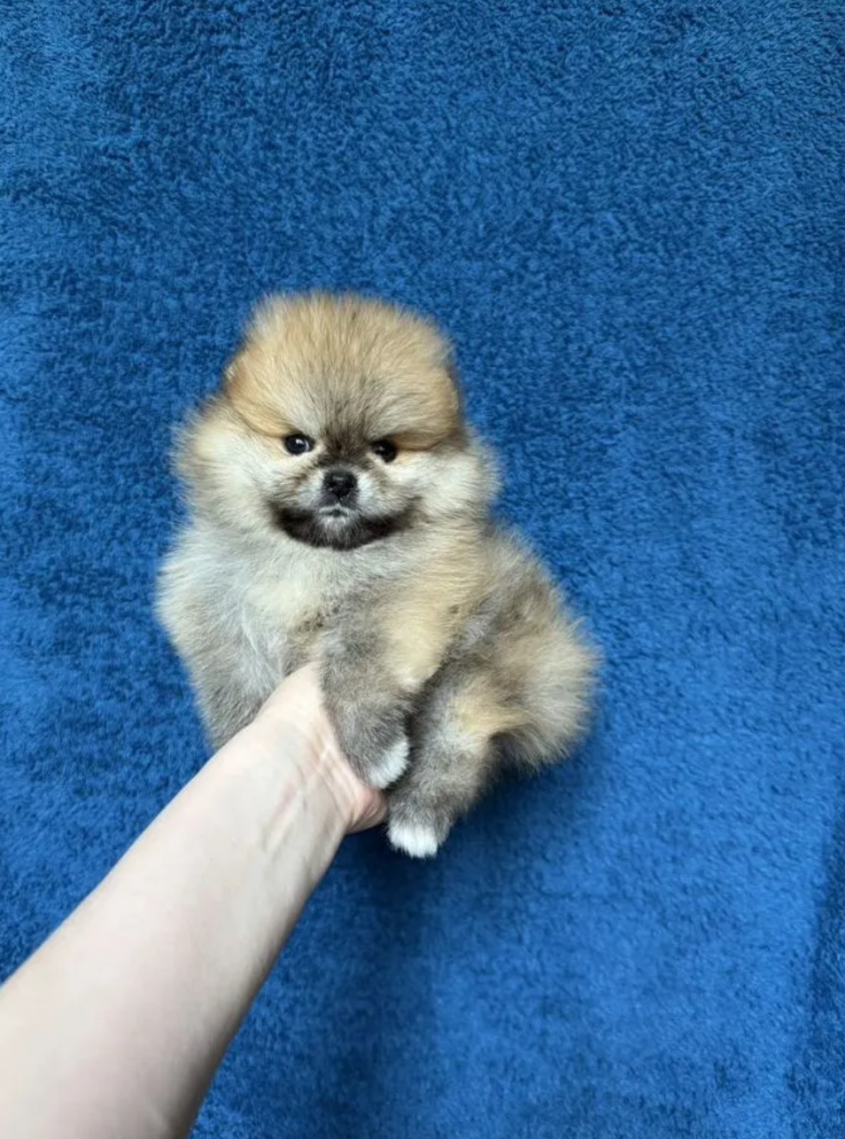 Мальчик Мальчик