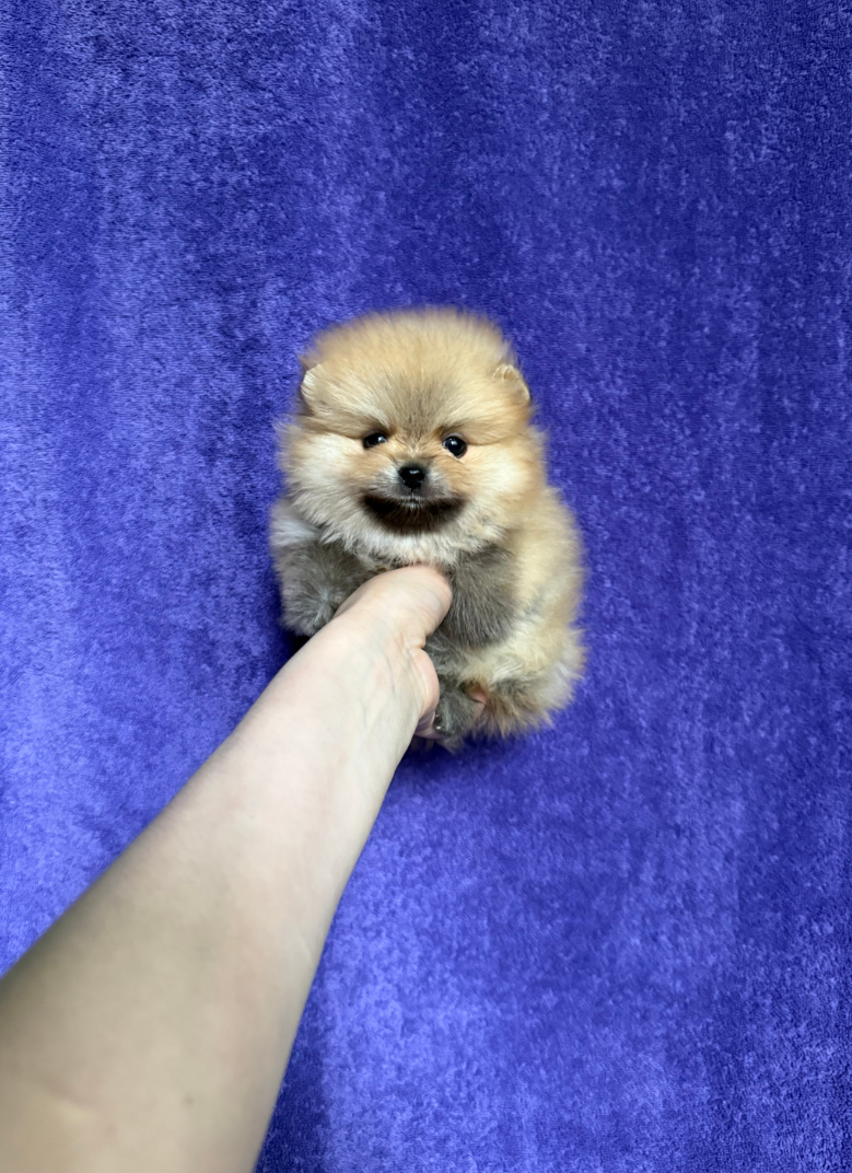 Мальчик