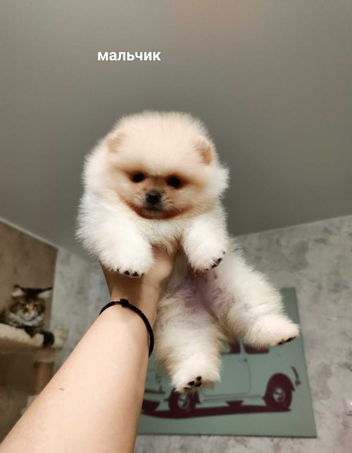 Мальчик Мальчик