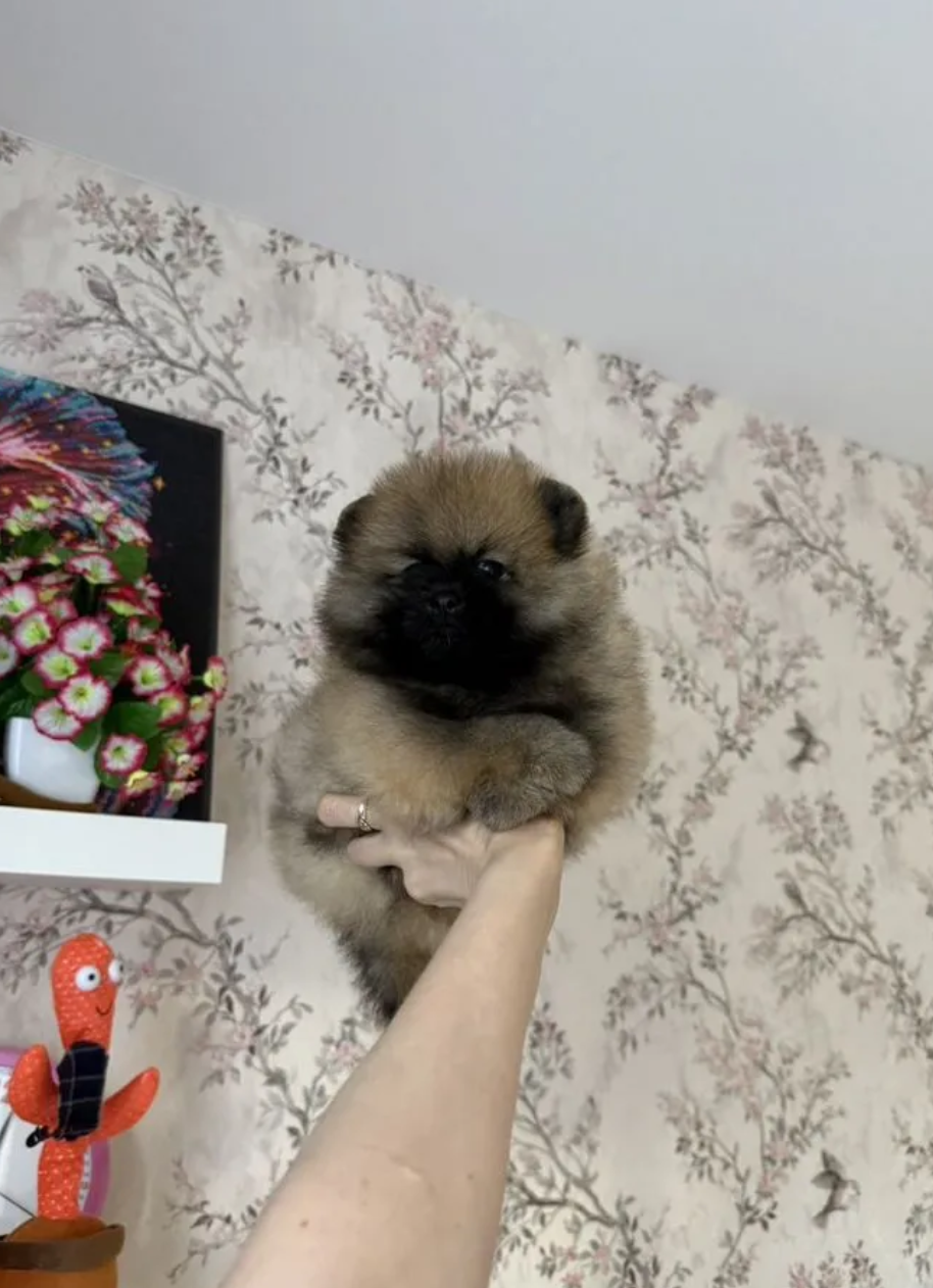 Мальчик Мальчик