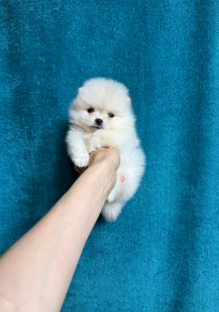 Мальчик