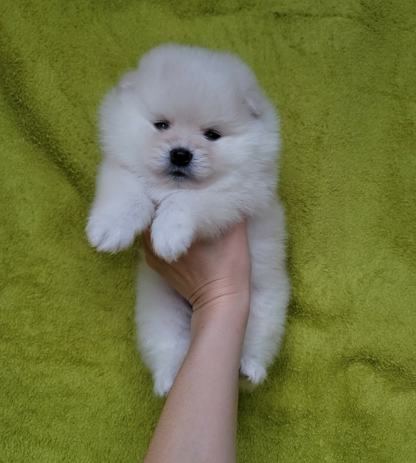 Мальчик Мальчик