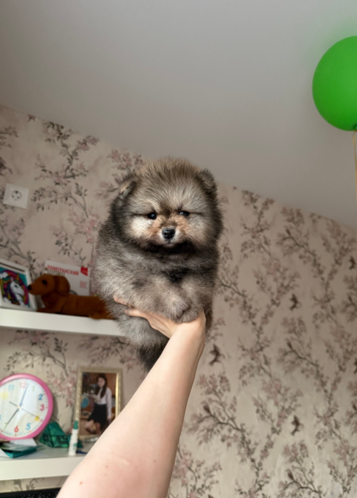 № 4 Мальчик № 4 Мальчик