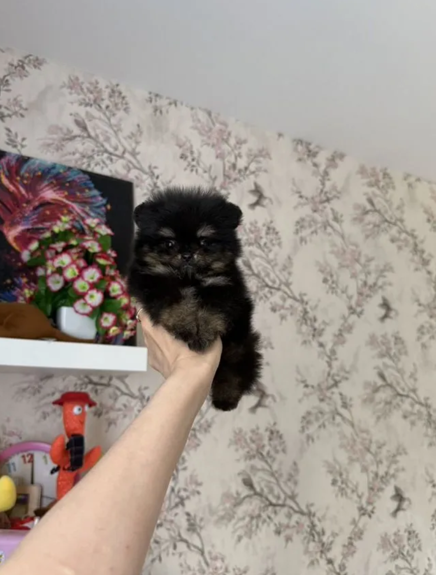 Мальчик Мальчик