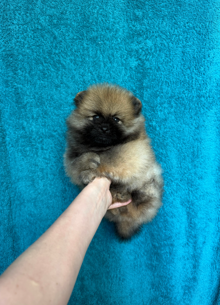 № 6 Мальчик № 6 Мальчик