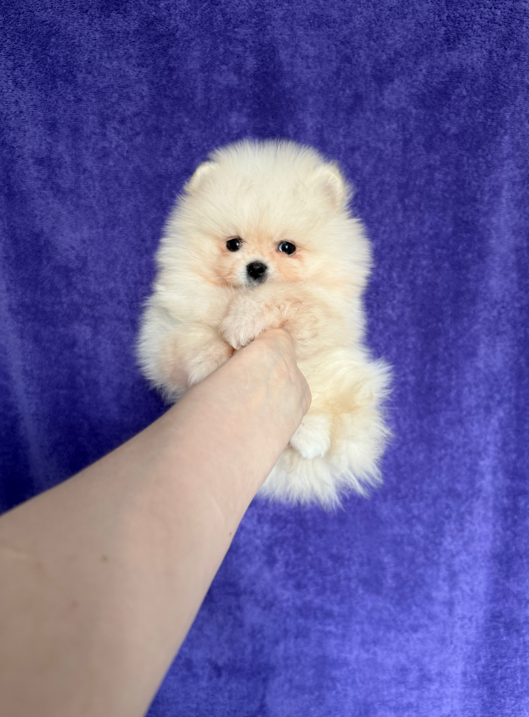 Мальчик Мальчик