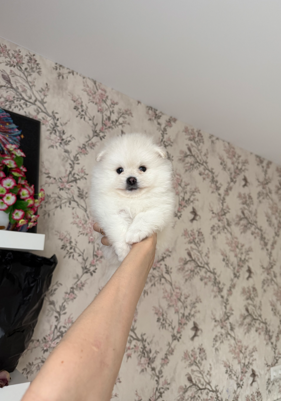 Мальчик Мальчик