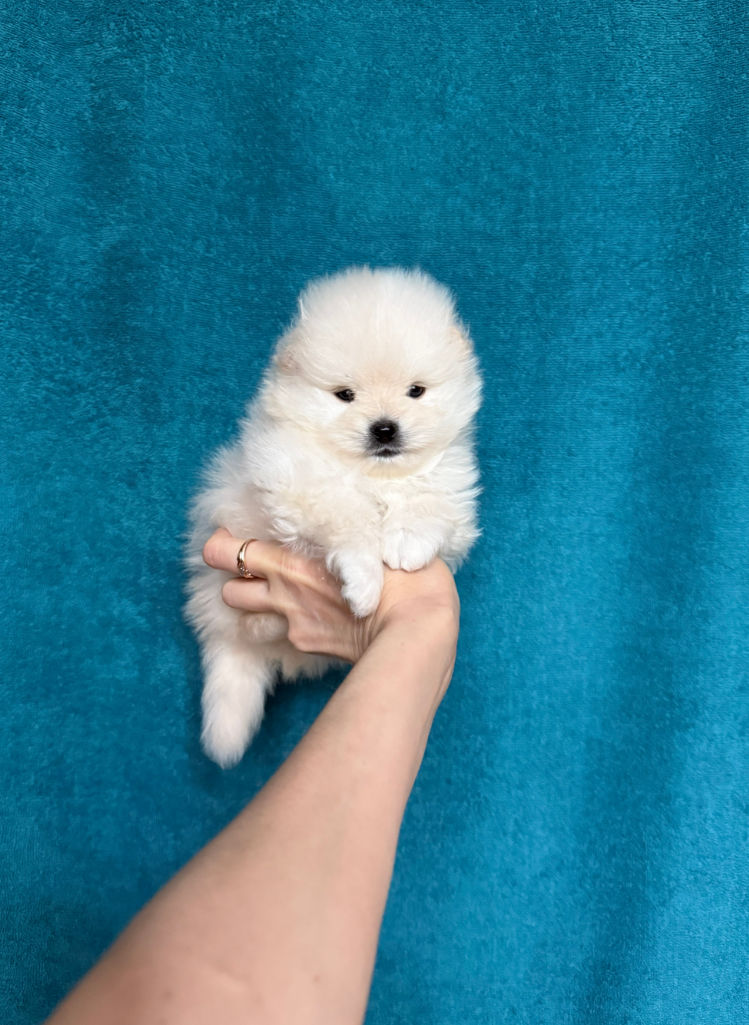 Мальчик